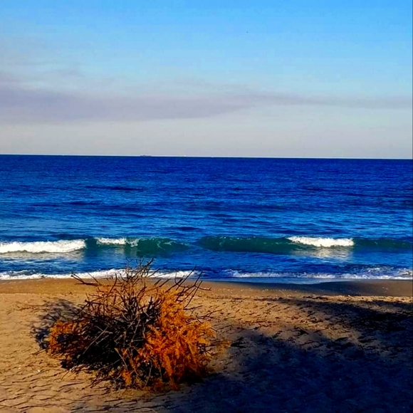 Meet your Posher, Jess - Picture 1 of 1